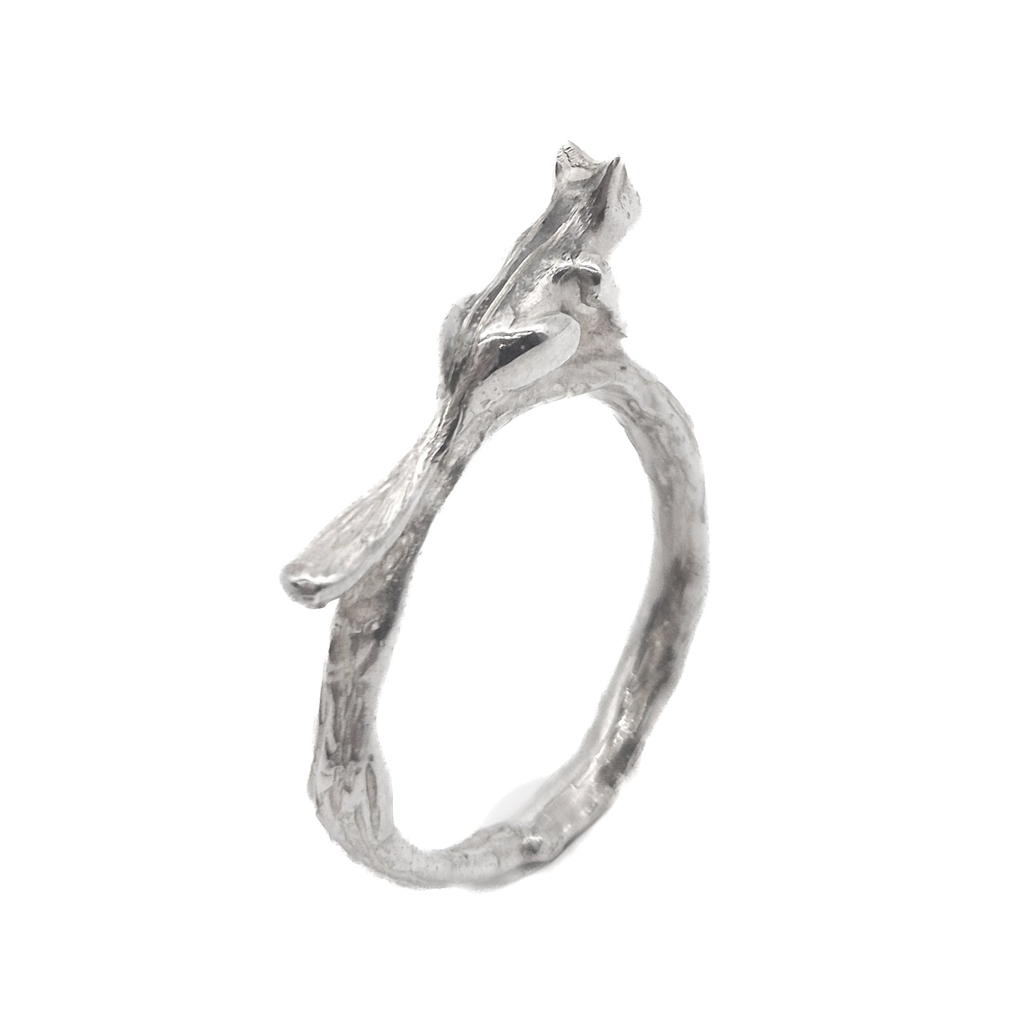 Siberische grondeekhoorn - Tilburg