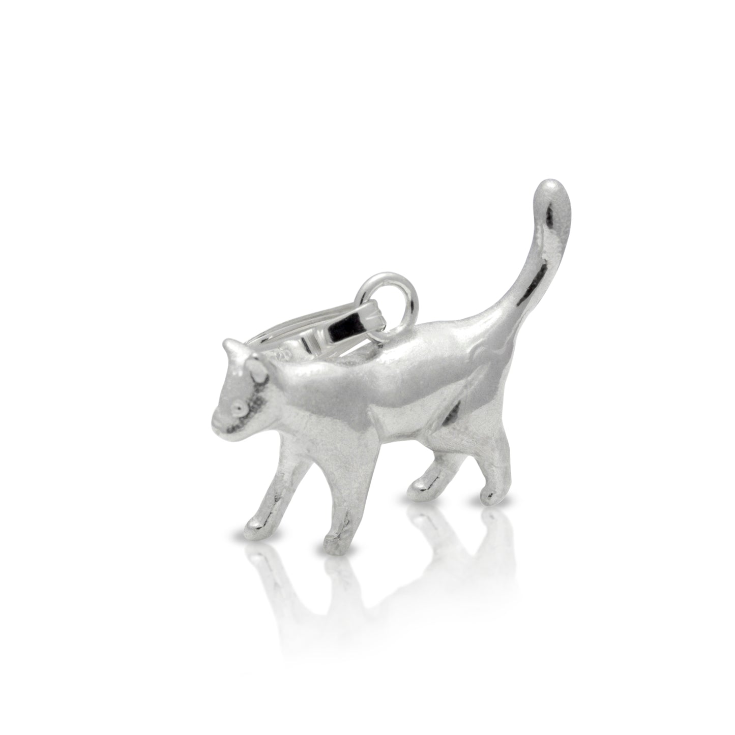 Hanger kat (Europese korthaar) - lopend
