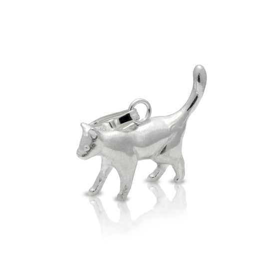 Hanger kat (Europese korthaar) - lopend