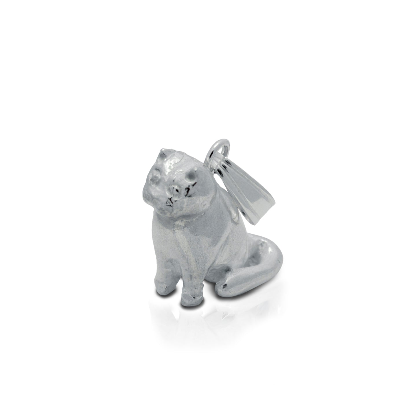 Hanger kat (Britse korthaar) - zittend