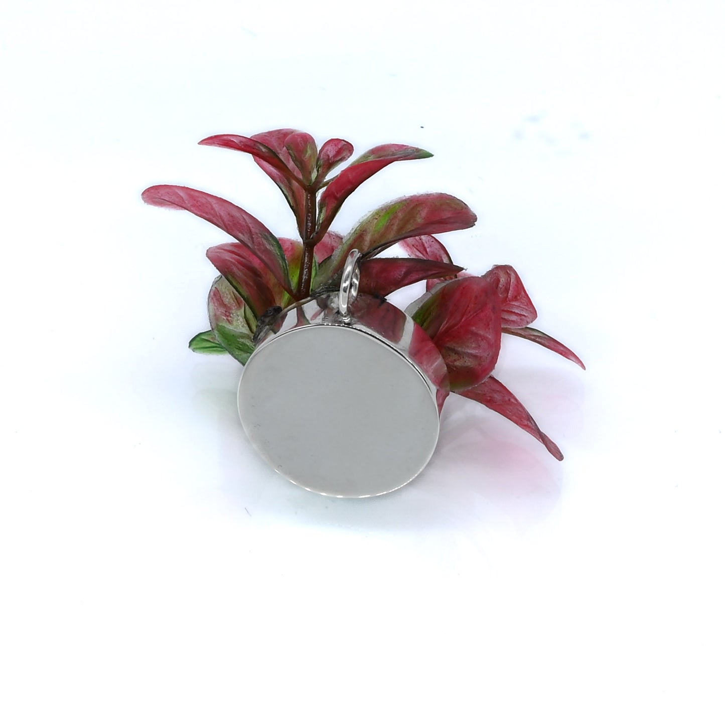 Hanger plant