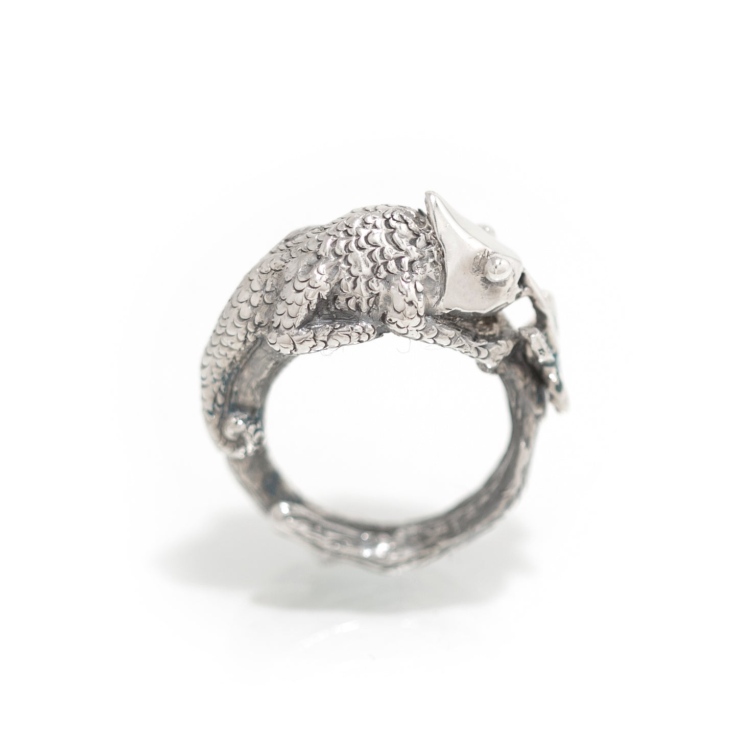 Kameleon en de vlinder ring