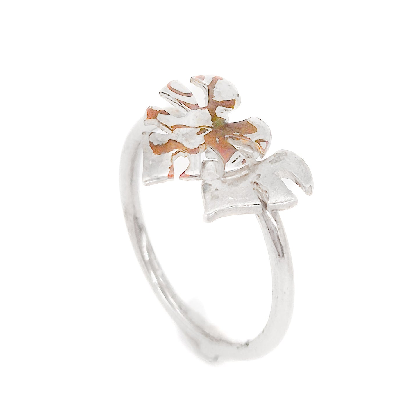 Monstera variegata - mokume-gane